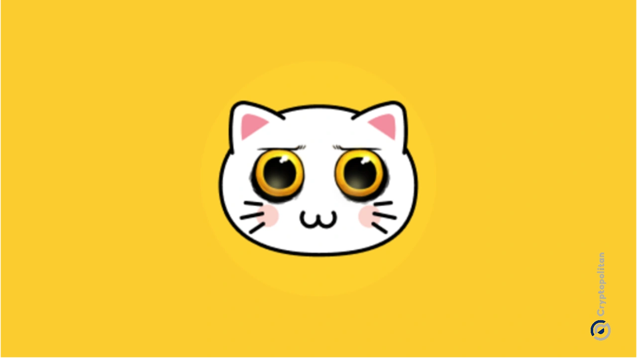 KIKI：Solana 上的 DeFi、NFT 和数字所有权转型