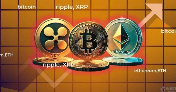 比特币每日新增钱包数量突破 30.9 万，以太坊紧随其后，XRP 则落后