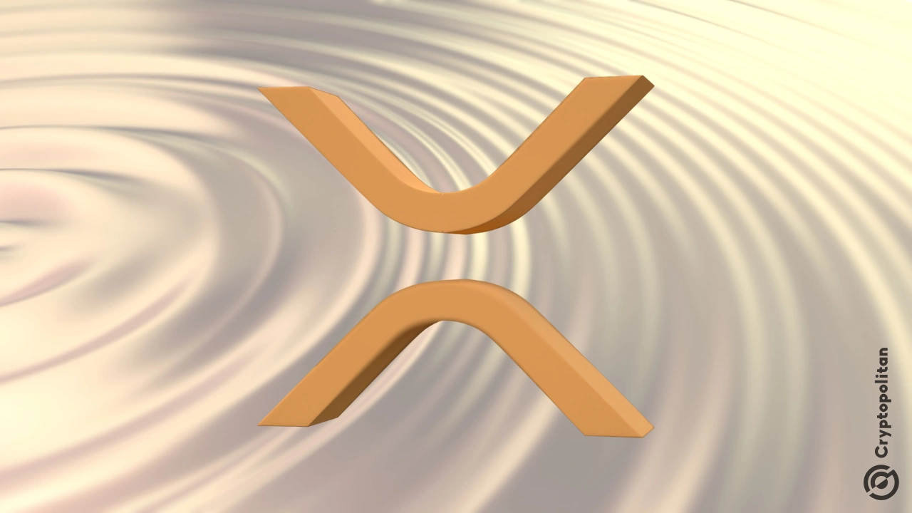 Ripple 承诺再投入 500 万美元，推动亚太地区的区块链教育