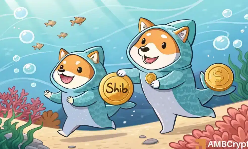 柴犬数量下降 20%，但鲸鱼数量却再次激增——接下来是 SHIB 的复苏吗？