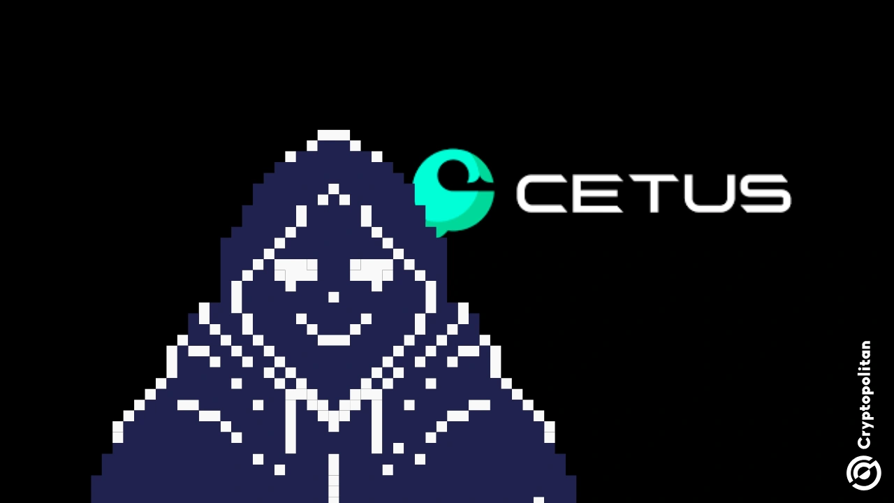 Cetus 要重新赢得社区的信任还有很长的路要走