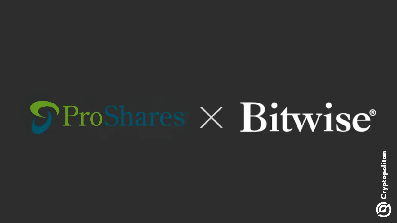 Bitwise 和 ProShares 申请 Circle Stock (CRCL) ETF