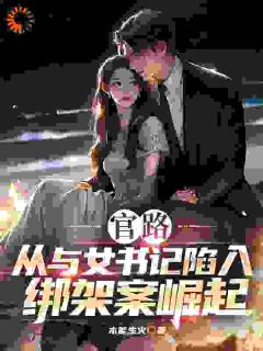 官路：从与女书记陷入绑架案崛起