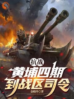 穿越民国，我成了战区大佬