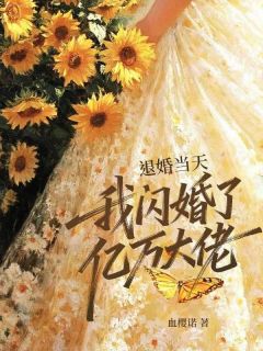 退婚当天，我闪婚了亿万大佬