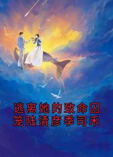 逃离她的致命囚笼陆清彦季司禾