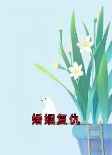 婚姻复仇