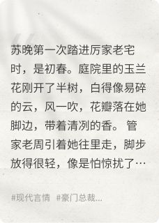 雾里看花，心上雪