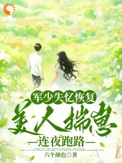 军少失忆恢复，美人揣崽连夜跑路
