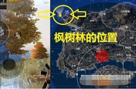 绝地求生刺激战场绝地海岛地图中的野餐聚点在哪里？