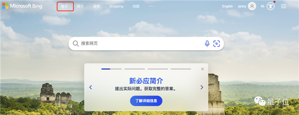 微软Bing突然爆炸级更新！无需等待人人可用、答案图文并茂