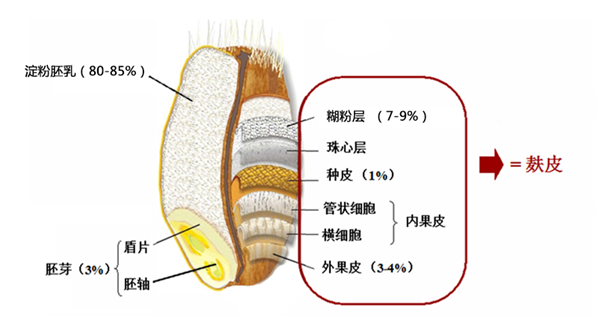 为什么面粉没有以前的香？加了添加剂安全吗？