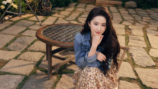 许念安谢景行小说阅读  7