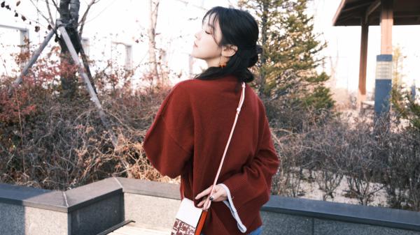 心向晚星精彩章节小说目录免费试读 (苏晚陆星野) 大结局无弹窗