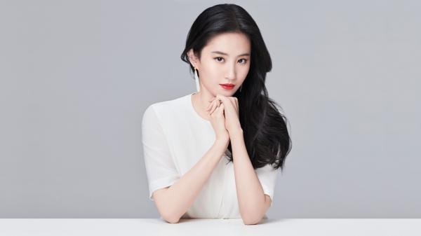 《时昱白宋韵棠》宋韵棠时昱白全文精彩试读