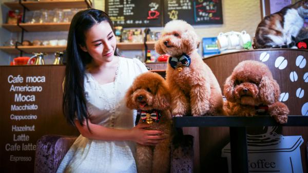 《爱已过期，我绝不原谅》小说章节精彩阅读 林旭谢悦儿段清雨小说阅读