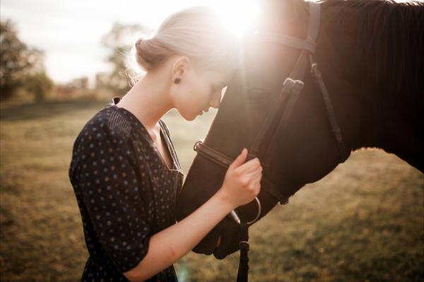 从攻略校花妈妈开始,成为全民男神主角陆阳余弦全文章节在线阅读