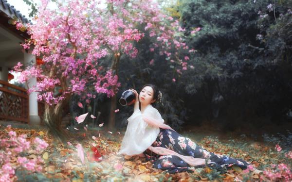 《沈岁傅妄舟》你错过的春永不返场全文免费阅读