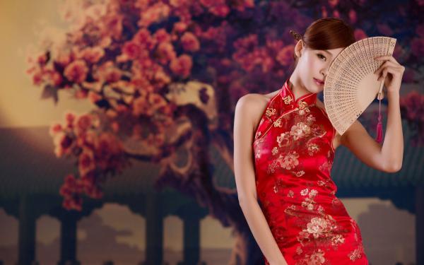 精品热文《陈博詹姆斯》NBA：摆烂就变强，我成联盟真大腿小说全文精彩章节免费试读无删减