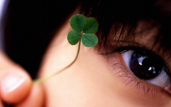 《白月光归来,我囤满物资等他破产》小说章节在线试读 顾凛川周沫李博士小说全文