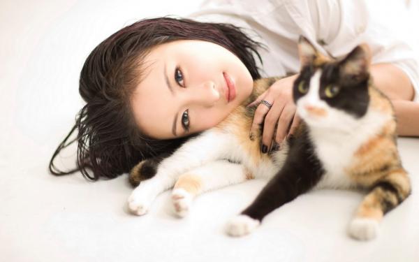 《秋声折柳终别绪》全文精彩章节在线阅读（傅景川宋知意叶诗雨）