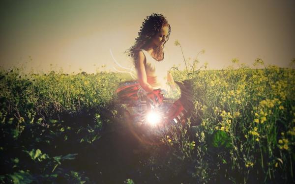 《林深赵野张强》盲人是连环杀人犯章节在线试读 盲人是连环杀人犯精选章节