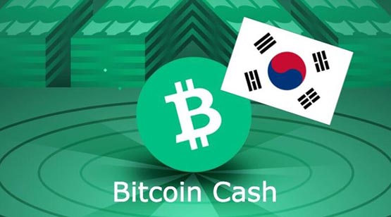 比特币现金冲破300美元！Upbit交易所BCH/KRW交易量超4.8亿