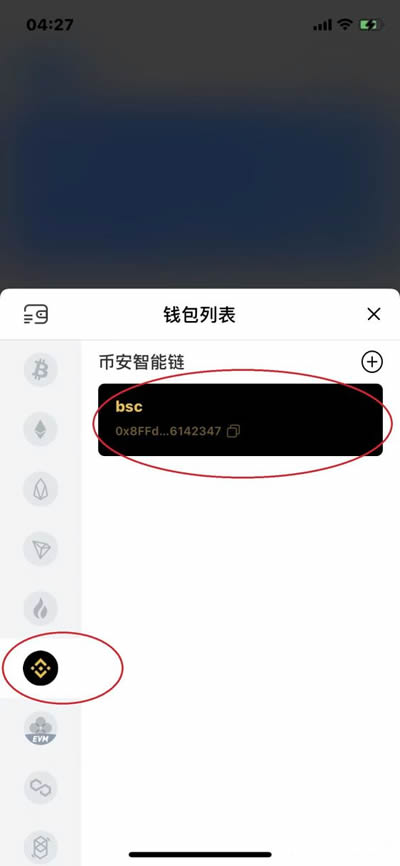 TokenPocket钱包连接DOTC使用教程