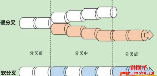 什么是分叉？如何区分硬分叉与软分叉？