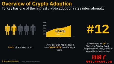 土耳其高达40%人口持有加密资产