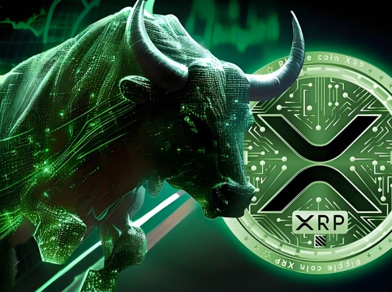 为什么XRP价格今日飙升?单月上涨400%还能买吗?12月能创历史新高吗?