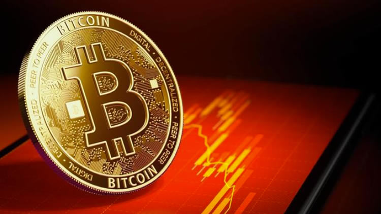 什么是比特币主导指数(BTC.D)？如何透过BTC.D判断市场趋势？